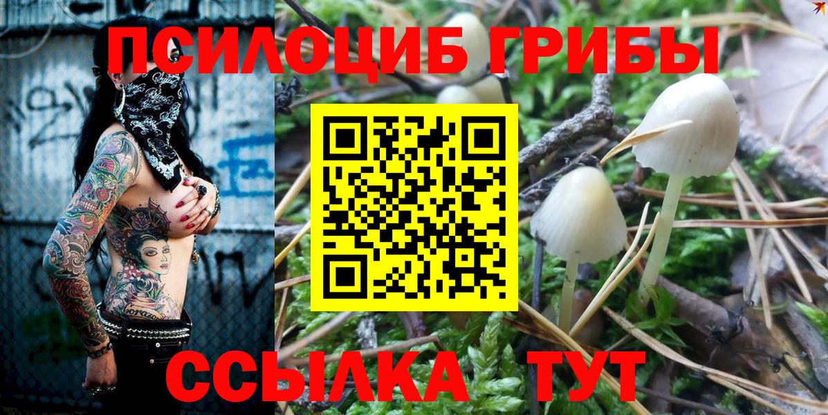 Галлюциногенные грибы мицелий  Вход с VPN  Клинцы  Псилоцибиновые грибы мухоморы 