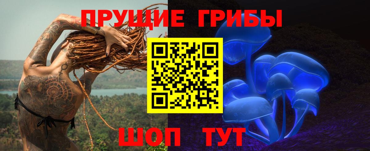 Псилоцибиновые грибы мицелий Клинцы